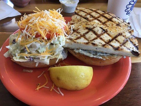 Coconut's Fish Cafe