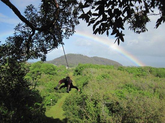 NorthShore Zipline Co