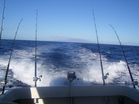 Maui Fun Charters