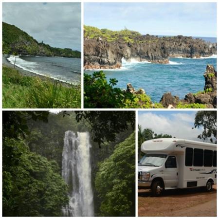 Dynamic Tour Maui
