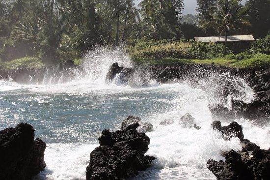 Maui Dual Sport