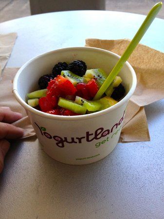Yogurtland
