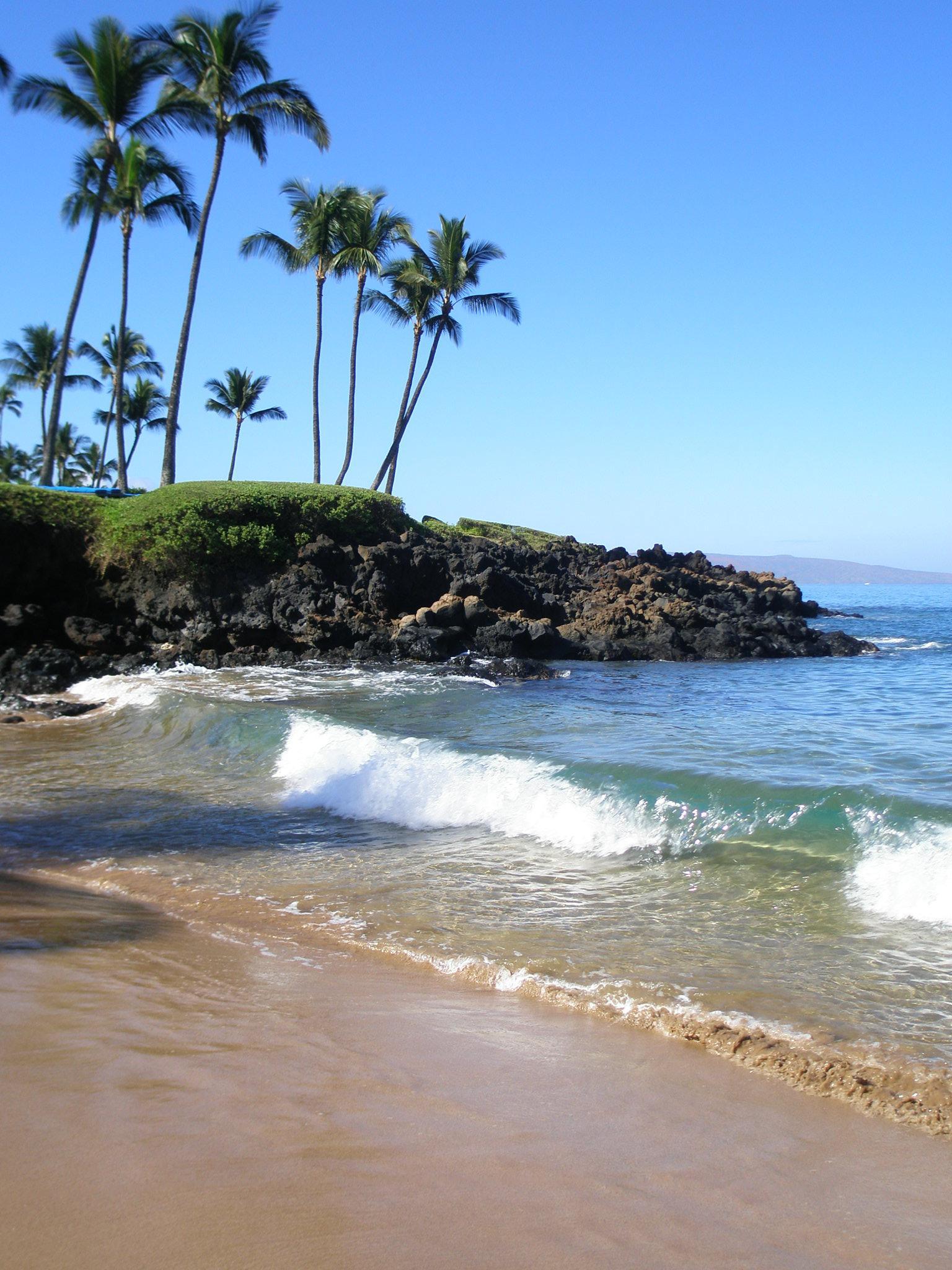 Maui Fine Art